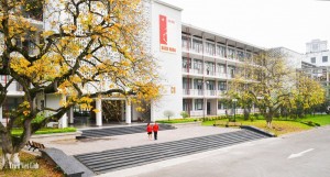 Lựa chọn các trường đại học đào tạo ngành Công nghệ thông tin tốt nhất Việt Nam giúp thí sinh có cơ hội nghề nghiệp tương lai rộng mở. (Ảnh minh họa)