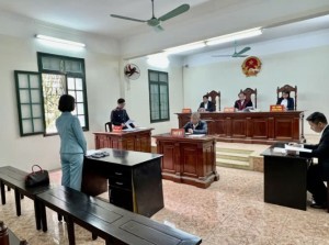 Bình luận Án lệ số 78/2025/AL về xác định mục đích góp vốn vào công ty