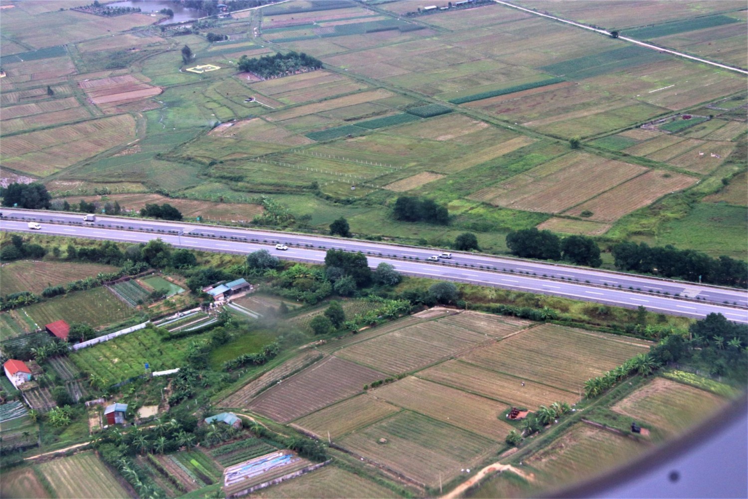 Hình minh họa